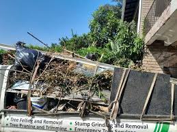 Best Yard Waste Removal  in Wilton Manors, FL